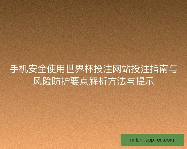 手机安全使用世界杯投注网站投注指南与风险防护要点解析方法与提示